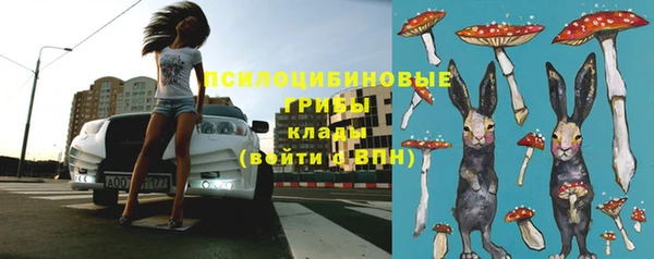 МДПВ Арсеньев